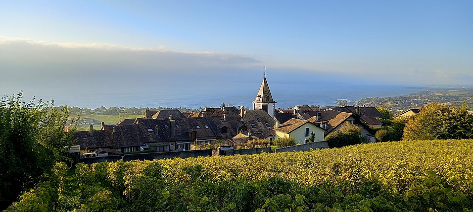 Le Vieux Bourg de Bougy-Villars est classé à l’Inventaire fédéral des sites construits d’importance nationale à protéger en Suisse (ISOS), ce qui interdit à la commune de se tourner vers le photovoltaïque.