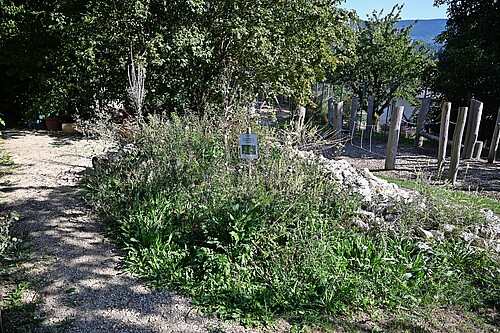 Près de l’école Rank, la nature bénéficie de plus d’espace.
