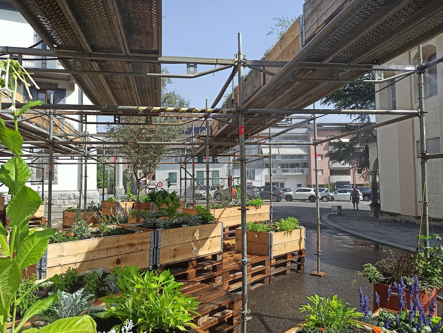 Le jardin éphémère, projet phare de Month®ey la voie, est une installation regroupant quelque 800 plantes qui a pour vocation de sensibiliser la population à l’importance de la nature en milieu urbain.