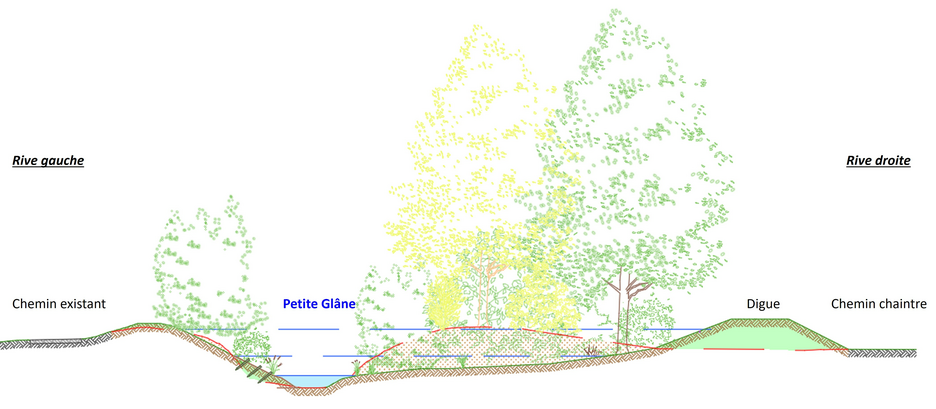 Profil en travers type de l’élargissement du cours d’eau en rive droite, avec défrichement, recul de la digue de protection et plantations (©