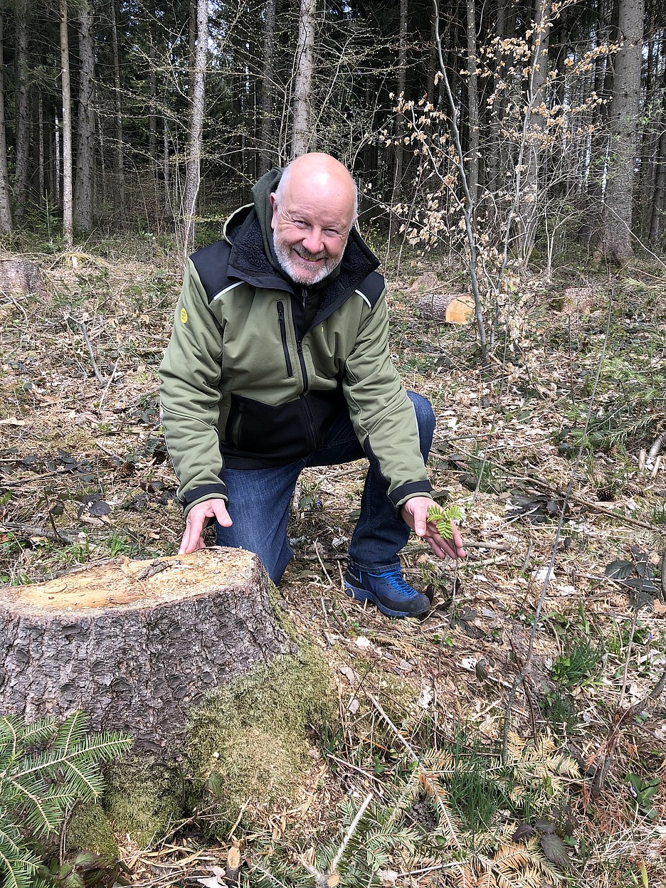  Jean-Pierre Kaeslin, le gestionnaire forestier de la forêt de Burtigny, se réjouit que la végétation de la bordure forestière peut désormais s’approprier le terrain grâce au soin avec lequel il a été éclairci de façon à permettre un développement aussi proche que possible de son état originel.