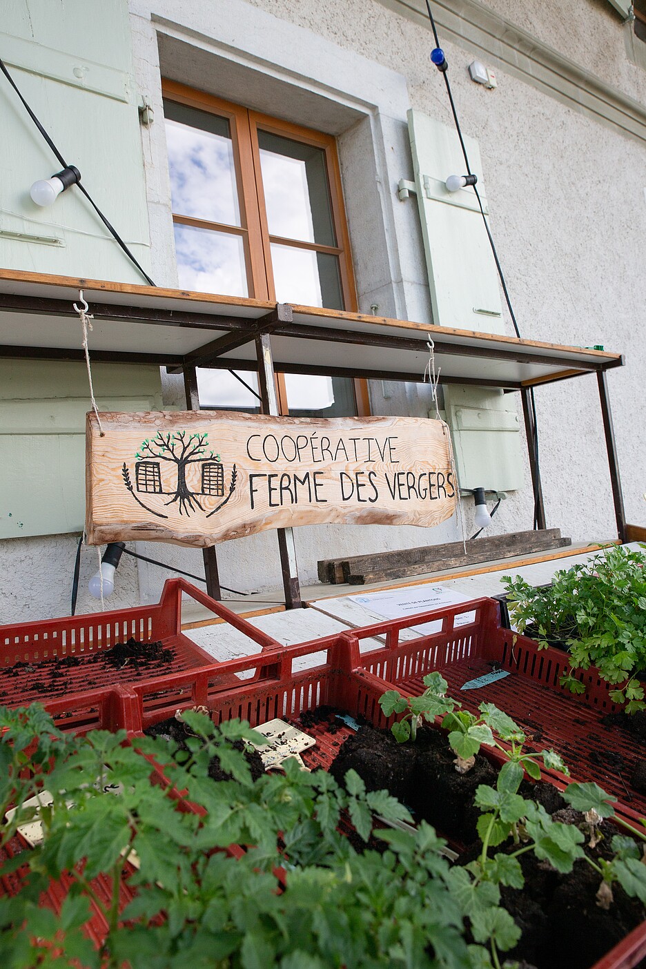 La coopérative la Ferme des Vergers à Meyrin.