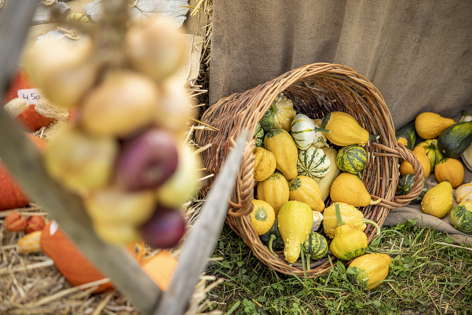 L’automne est la saison des fêtes.