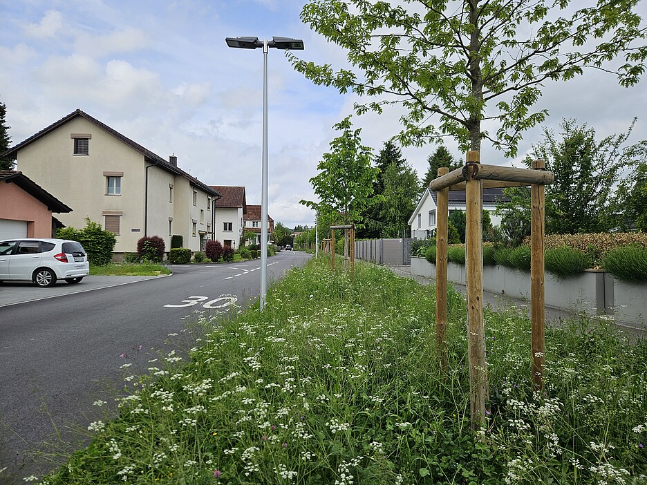 La nature s’épanouit sur l’Eisengrubenweg à Zofingue (AG).