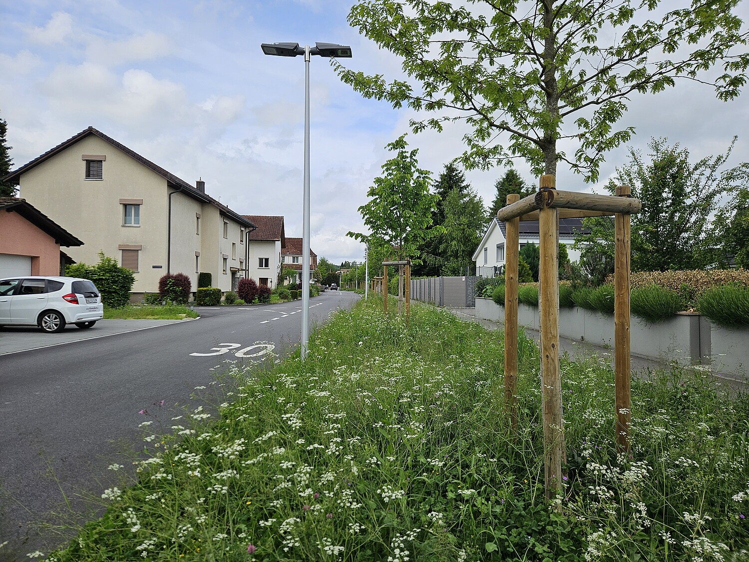 La nature s’épanouit sur l’Eisengrubenweg à Zofingue (AG).