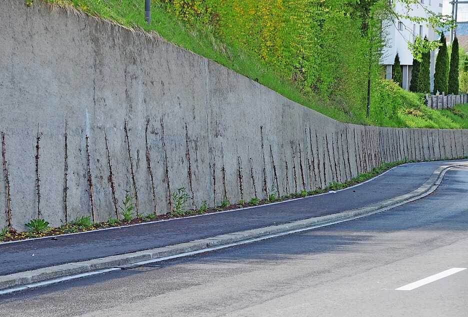 Murs végétalisés le long des routes.