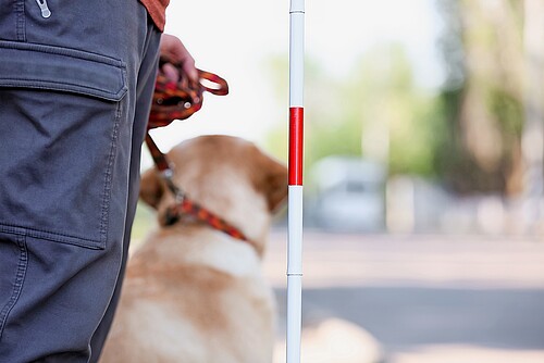 Les chiens d’assistance sont-ils autorisés dans les administrations communales? Il est important de le savoir.