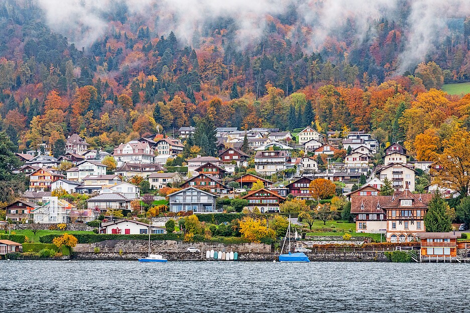Maisons au bord du lac de Thoune.