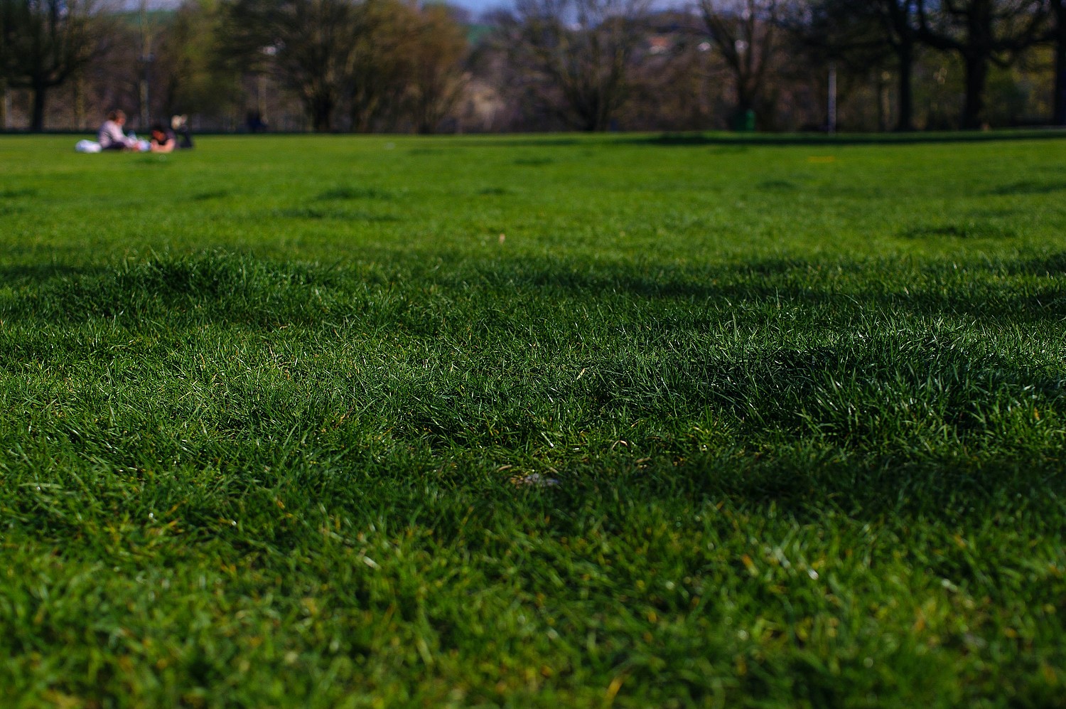 La compensation de la plus-value permet de valoriser les espaces verts.